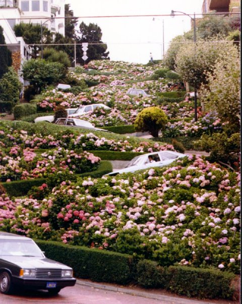 Lombard Street, San Francisco